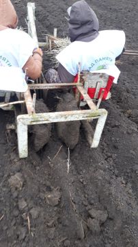 � ���������� ������ �������� ����� ���