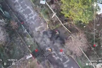 ���������, ����������� �������