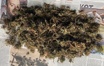 � ��������� ������ ��������������� ������ ���������� ��������� ���� �� �������� ������������� �������