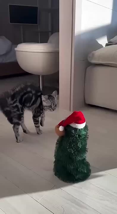 ��� ���� ���� ������. � � ��� ��� ���������� ����������? �������������� �� ����������� ������� � MAX, Telegram � ��������� � �������� � ��������