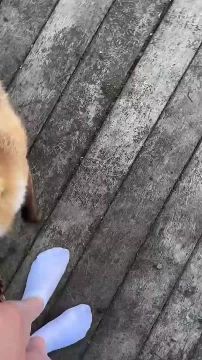 ����� � ��������� �������. �������� ������ ��� ��� ��� ����