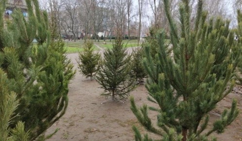 � ���������� ������ ��������� ���� � ������ ����