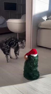 ��� ���� ���� ������. � � ��� ��� ���������� ����������? �������������� �� ����������� ������� � MAX, Telegram � ��������� � �������� � ��������