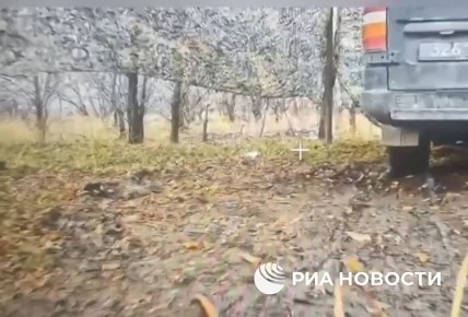 ���������� ������������ ������������ � ���������� ���������