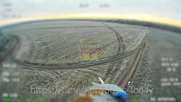 ��������� �����������. ����������� ���������� ��� �� �������� ���������