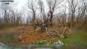 FPV уничтожают ВСУ. Расчеты FPV десантников продолжают уничтожать неприятеля на Ореховском направлении