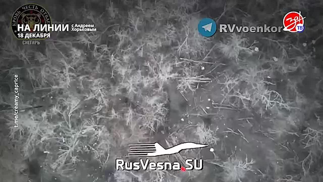 Разбираем обстановку на фронте вместе с Андреем Хорьковым в программе «На Линии» | 18 декабря