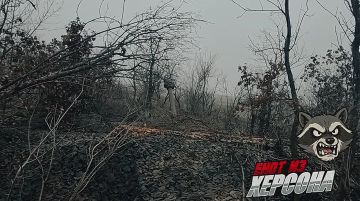 ������ ������ �-30 ����������� ����� ������ ��������� ����� ���������� ���� � ������ ������ ���������� �� ������ ������ ������