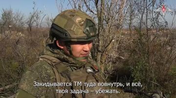 Штурмовики группировки войск «Восток» продолжают продвижение в лесополосах в районе Гуляй-поля, лишая противника возможности удерживать занимаемые участки местности