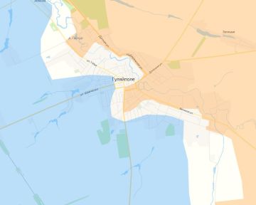 Российская армия давит противника в районе Гуляйполя