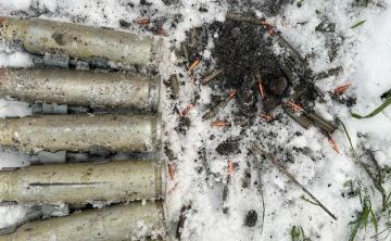 � ����������� ������� ����� ������ � ���������-��������� ���������