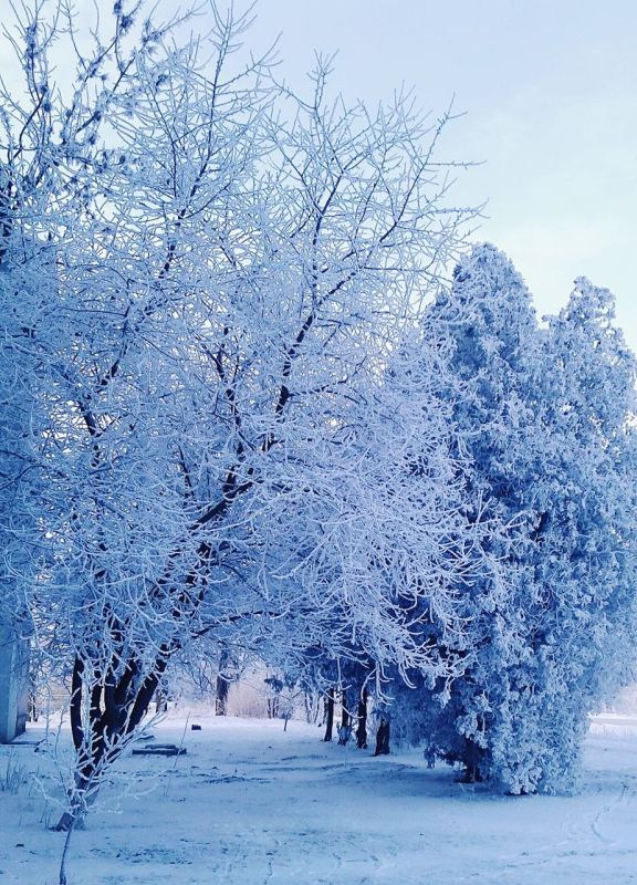Фото-конкурс "Новогодняя сказка"