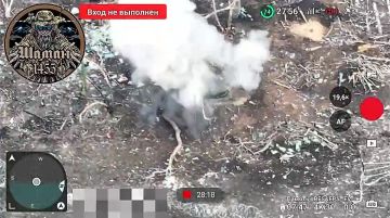 ��������� ������ ������������� "�����" 1455 ����� ����� ���������� ����� �� ����� � ������ �.�. ������