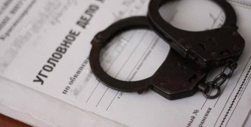 В Энергодаре сотрудниками полиции по горячим следам была задержана подозреваемая в совершении кражи