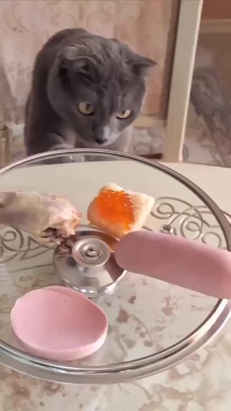 ��� � ��������� ������� ������