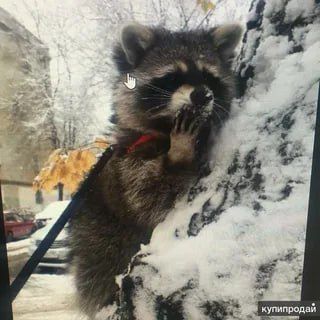 ������ ����, ������! �������� ��� ��� � ��������� ����������!