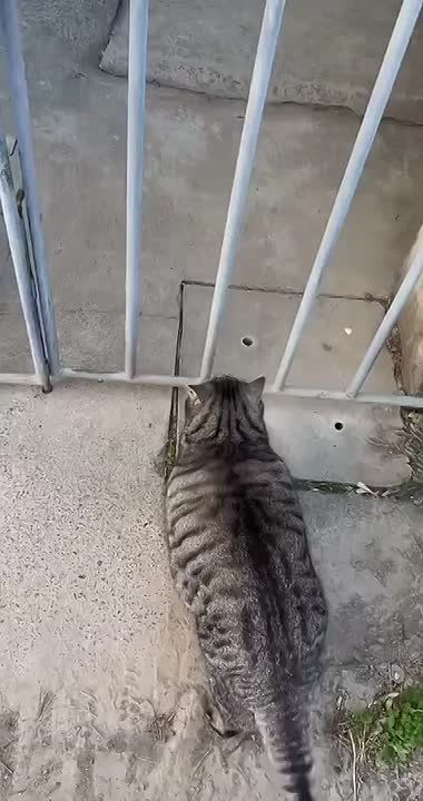 ���, �������. ����� �� ������ �� ������������ ������ ����