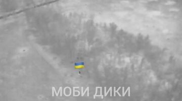 "��������� �� - ������". ���������� ������� ������, ��� �������