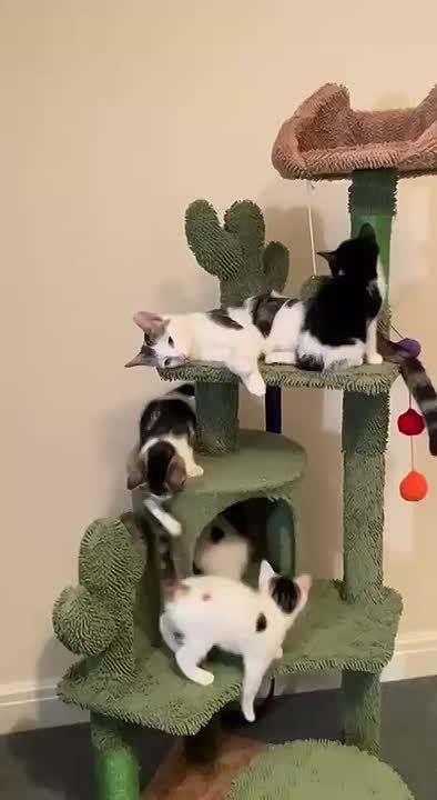 ������! ������ �� ��, ���: