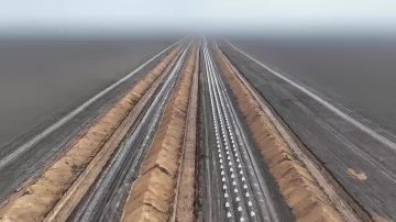 Даниил Безсонов: Противник хвастается линией обороны в Запорожской области