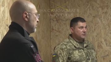 ����� ������� ������� ����������� �����������