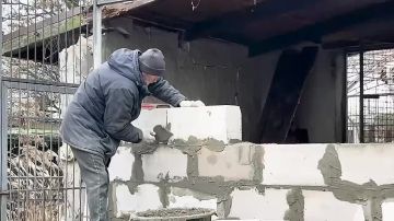 ������� ��������: � ���������������� ������ ��� ������ �������� � ����������, ������� ���� ����� �������� ��������, ���� ������ �� ���������� ����������� �����