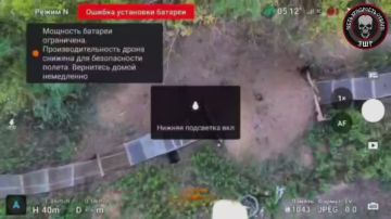 ����������� ������ ������ �� ����������� �����������