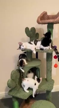 ������! ������ �� ��, ���: