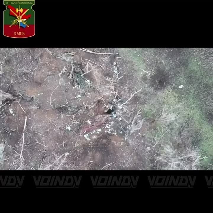 ��������� 38 ������� 35 ����� ������������ ����� ���� ��� � ����������� �������