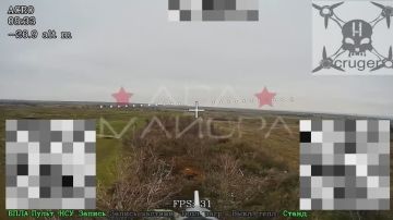 ��� ������: ����������� �����, ���������� �����������