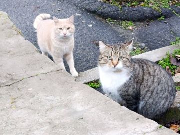 � ������ �����! �������� ����� ����������� ����, ������ ����� �������� � �����