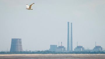 «Можно довести до Чернобыля и Фукусимы»: директор Запорожской АЭС предупредил о катастрофических последствиях обстрелов ВСУ