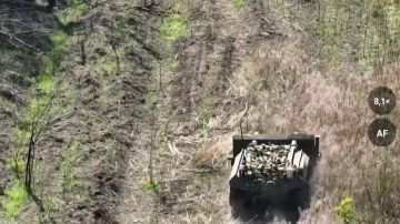 ����������� ���������� ������������ ��������� ������������� ��� � ����������� �������