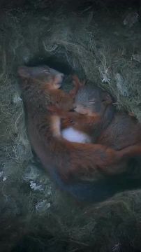 ������ ����!. ������� � �����������, �� ������ ���� � 11 ����