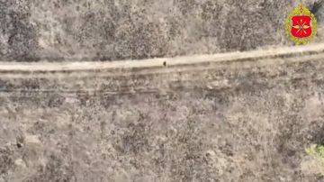 ������������� ����� ����������� ������ ��������� � �������� ����������� ����� ������ � ����������� ������� ������������� ���������� ���� � ����� ������� ��������������� � ������� ����