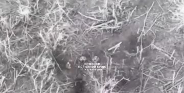 ���� � ���� ����� ��������� ����� ������