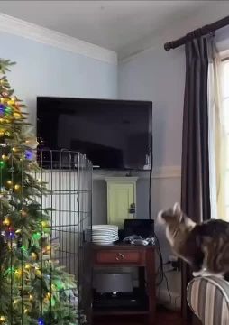 ���� ���� � �� ���� �����������