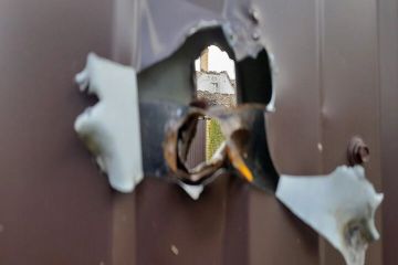 206 ��������� ��� ����� ����� ��������, ���� �������: ��� ���������� ����������� ������� ���������� � �������-�����������