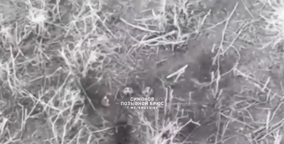 ���� � ���� ����� ��������� ����� ������