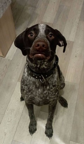 ������ �����! ��� ������� �����, �������, ������ �� 4�� ����������� �� �������� � ��������, ������ ������ ���������, ���������� ����� �������� +79902301806