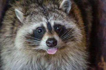 ������ ����, ������! �������� ��� ��� � ��������� ����������!