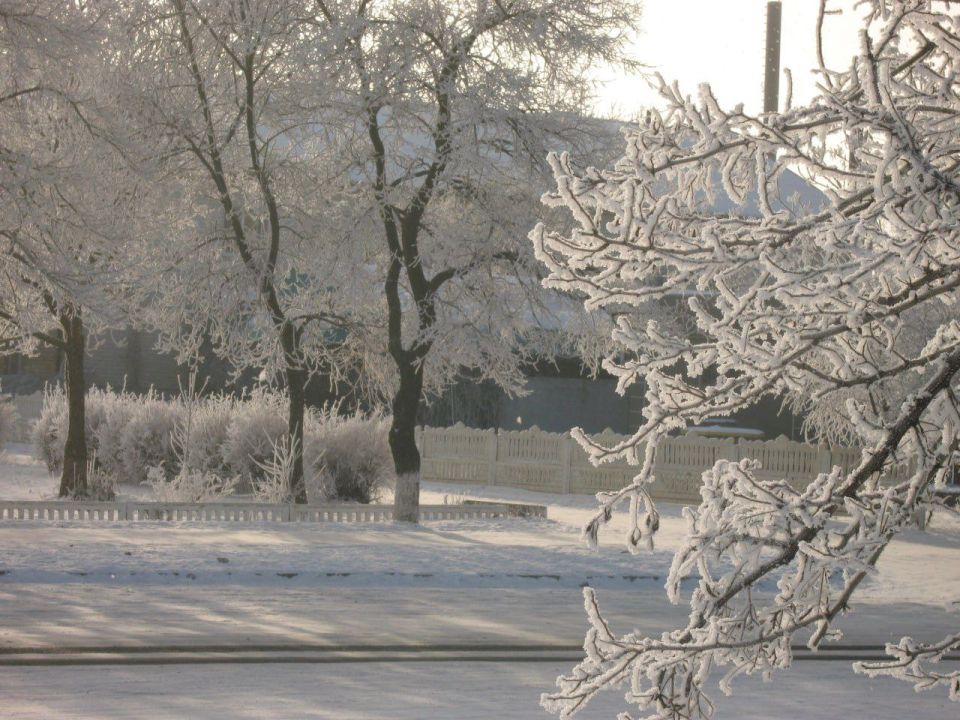 Фото-конкурс "Новогодняя сказка"