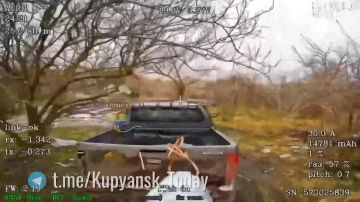 ��������� �����������. ����������� ������ ����������