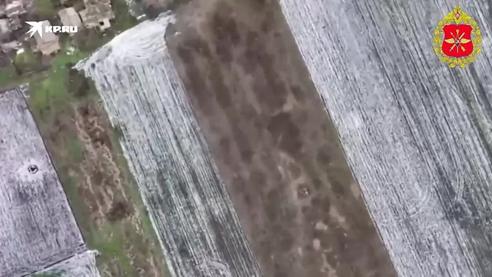 10 ������ ���� �����-��� ��� ����� �������� ��� ����������