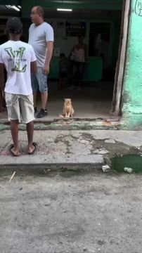 � ���, � ��� ����� �����������?