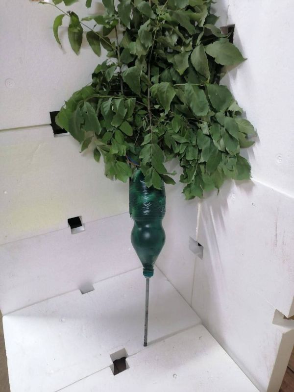 ��������, ���������! ������� "�������"