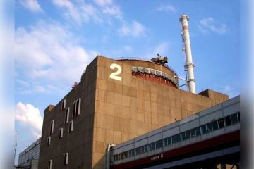 ����������� ��� ����� ��������� ��� 30 ���� ����������� �� ������-�����������