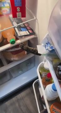 ���� ��� �������� �������. ������ � ��������� �� ���, ������ �� ������