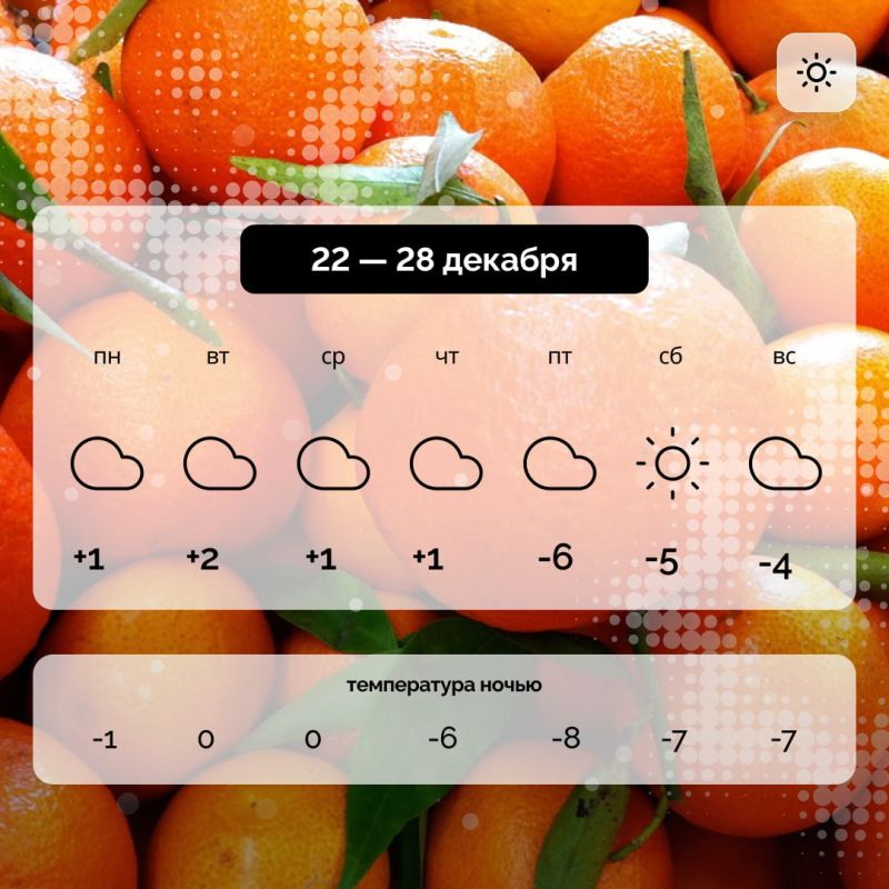 ������ � ����������� ������� �� 22 � 28 �������