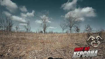 ��������� ������������� ������������ ���������� ��� �������������� ������ �� �������� � ����������� �������